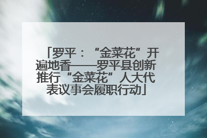 罗平：“金菜花”开遍地香——罗平县创新推行“金菜花”人大代表议事会履职行动