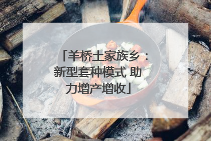 羊桥土家族乡：新型套种模式 助力增产增收