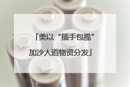 美以“插手包揽”加沙人道物资分发