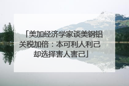美加经济学家谈美钢铝关税加倍：本可利人利己 却选择害人害己