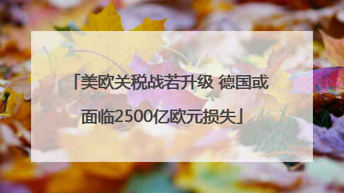 美欧关税战若升级 德国或面临2500亿欧元损失