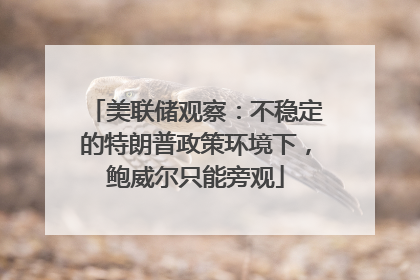 美联储观察：不稳定的特朗普政策环境下，鲍威尔只能旁观