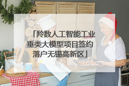 羚数人工智能工业垂类大模型项目签约落户无锡高新区