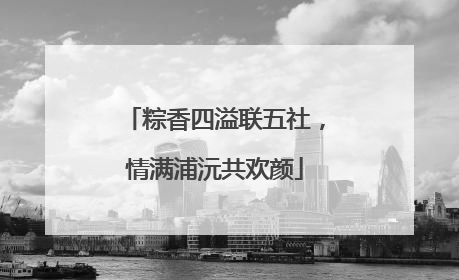 粽香四溢联五社，情满浦沅共欢颜