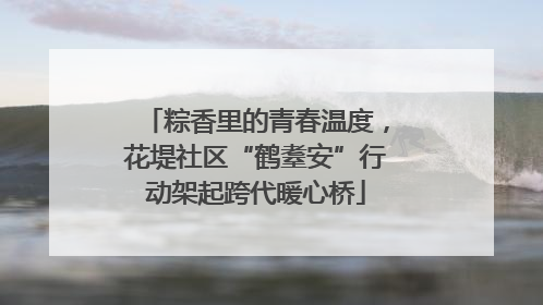 粽香里的青春温度，花堤社区“鹤耋安”行动架起跨代暖心桥