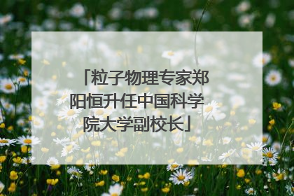 粒子物理专家郑阳恒升任中国科学院大学副校长