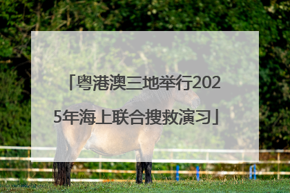 粤港澳三地举行2025年海上联合搜救演习