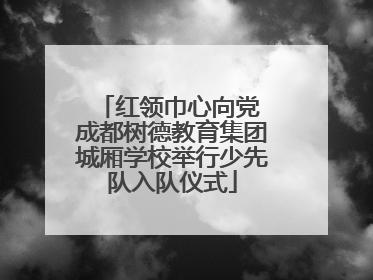 红领巾心向党 成都树德教育集团城厢学校举行少先队入队仪式