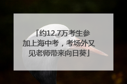 约12.7万考生参加上海中考，考场外又见老师带来向日葵