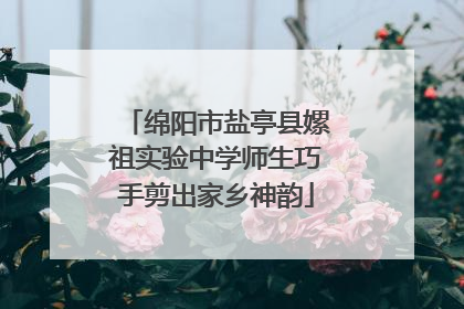 绵阳市盐亭县嫘祖实验中学师生巧手剪出家乡神韵
