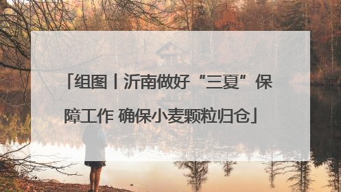 组图丨沂南做好“三夏”保障工作 确保小麦颗粒归仓