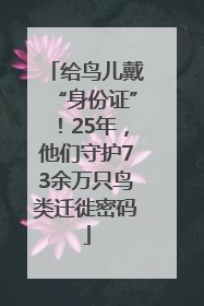 给鸟儿戴“身份证”！25年，他们守护73余万只鸟类迁徙密码