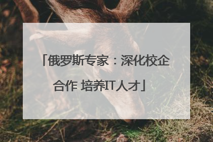 俄罗斯专家：深化校企合作 培养IT人才