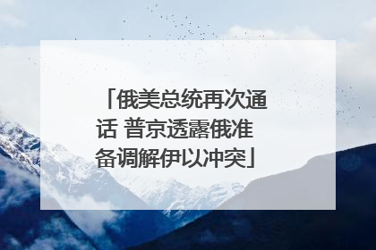 俄美总统再次通话 普京透露俄准备调解伊以冲突