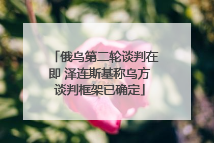 俄乌第二轮谈判在即 泽连斯基称乌方谈判框架已确定