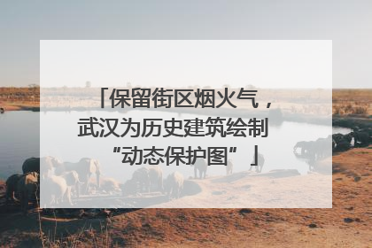 保留街区烟火气，武汉为历史建筑绘制“动态保护图”