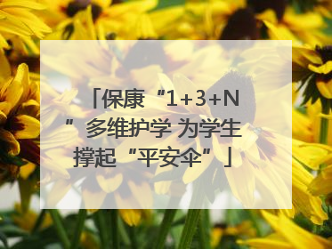 保康“1+3+N”多维护学 为学生撑起“平安伞”