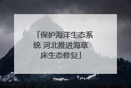 保护海洋生态系统 河北推进海草床生态修复