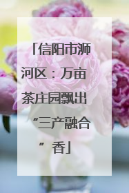 信阳市浉河区：万亩茶庄园飘出“三产融合”香