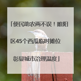 便民助农两不误！睢阳区45个西瓜临时摊位 彰显城市治理温度