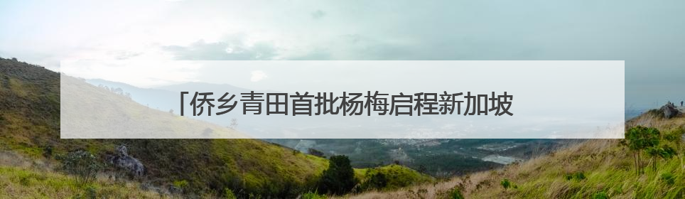 侨乡青田首批杨梅启程新加坡 保鲜提质售出“金果果”