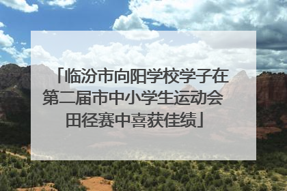 临汾市向阳学校学子在第二届市中小学生运动会田径赛中喜获佳绩
