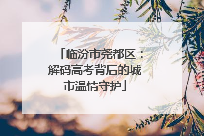 临汾市尧都区：解码高考背后的城市温情守护