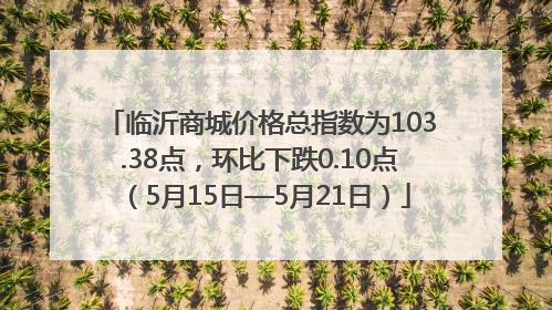 临沂商城价格总指数为103.38点，环比下跌0.10点（5月15日—5月21日）
