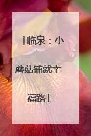临泉：小蘑菇铺就幸福路