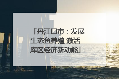 丹江口市：发展生态鱼养殖 激活库区经济新动能