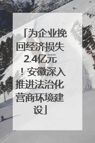 为企业挽回经济损失2.4亿元！安徽深入推进法治化营商环境建设