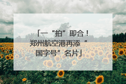 一“拍”即合！郑州航空港再添“国字号”名片
