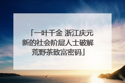 一叶千金 浙江庆元新的社会阶层人士破解荒野茶致富密码