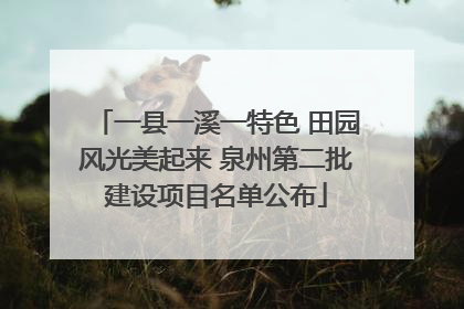 一县一溪一特色 田园风光美起来 泉州第二批建设项目名单公布