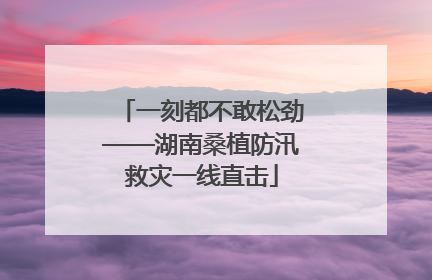 一刻都不敢松劲——湖南桑植防汛救灾一线直击