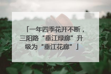 一年四季花开不断，三阳路“垂江绿廊”升级为“垂江花廊”