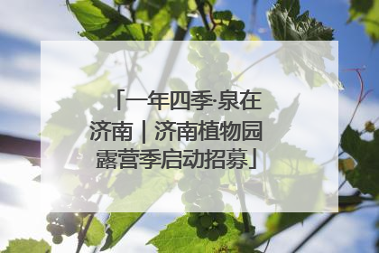 一年四季·泉在济南｜济南植物园露营季启动招募
