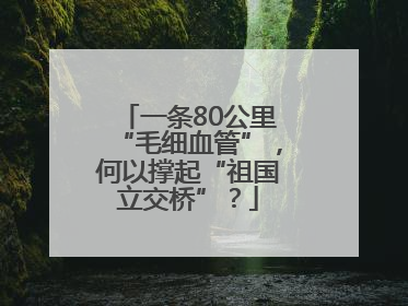 一条80公里“毛细血管”，何以撑起“祖国立交桥”？