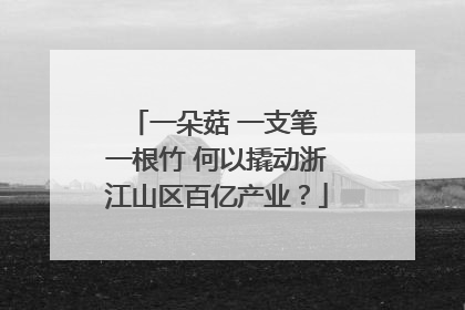 一朵菇 一支笔 一根竹 何以撬动浙江山区百亿产业？