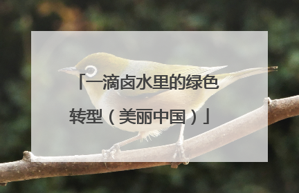 一滴卤水里的绿色转型（美丽中国）