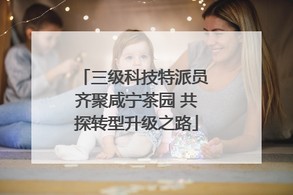 三级科技特派员齐聚咸宁茶园 共探转型升级之路