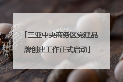 三亚中央商务区党建品牌创建工作正式启动