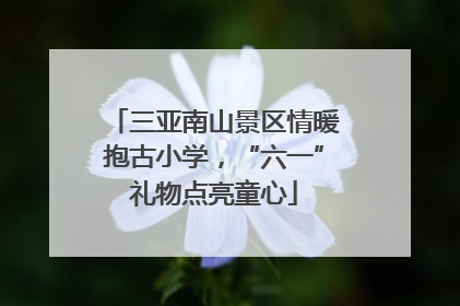 三亚南山景区情暖抱古小学，“六一”礼物点亮童心