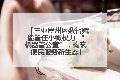 三亚崖州区数智赋能管住小微权力 “机器管公章”，构筑便民服务新生态