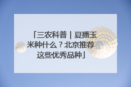三农科普｜夏播玉米种什么？北京推荐这些优秀品种