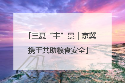 三夏“丰”景｜京冀携手共助粮食安全