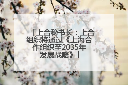 上合秘书长：上合组织将通过《上海合作组织至2035年发展战略》