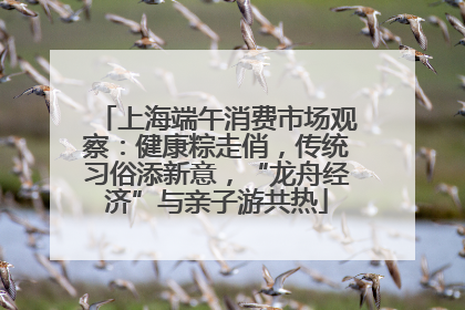 上海端午消费市场观察：健康粽走俏，传统习俗添新意，“龙舟经济”与亲子游共热