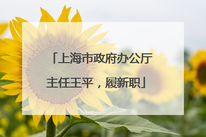 上海市政府办公厅主任王平，履新职