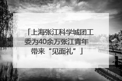 上海张江科学城团工委为40余万张江青年带来“见面礼”